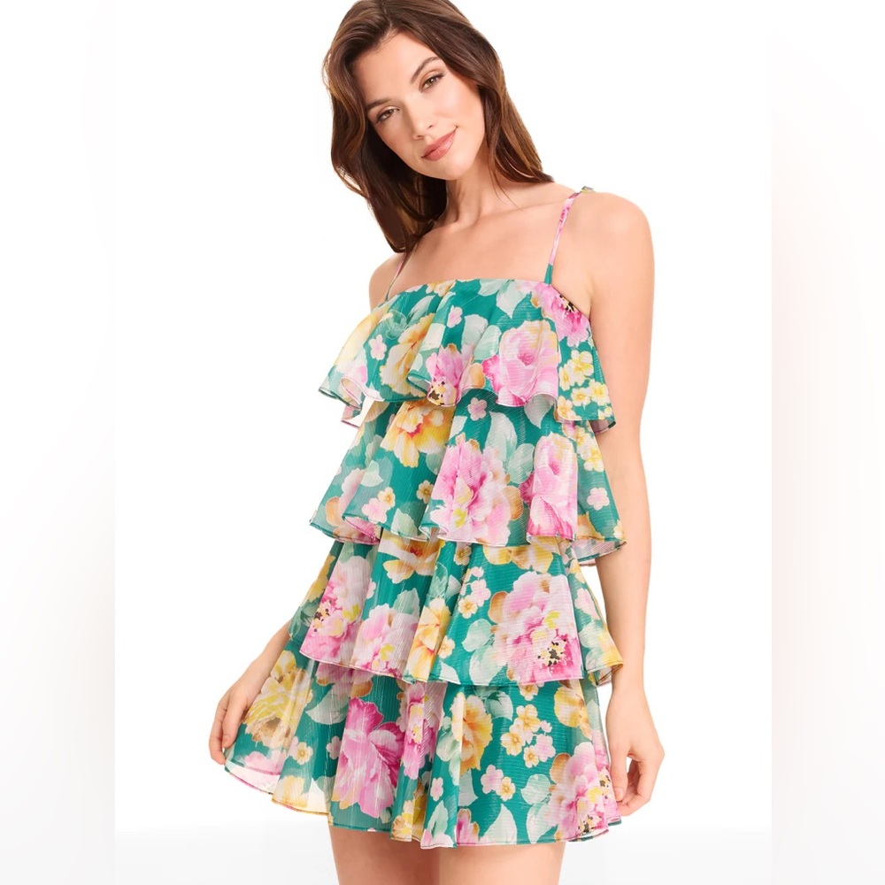 Dress the Population Pixie Metallic Stripe Floral Tiered Minidress